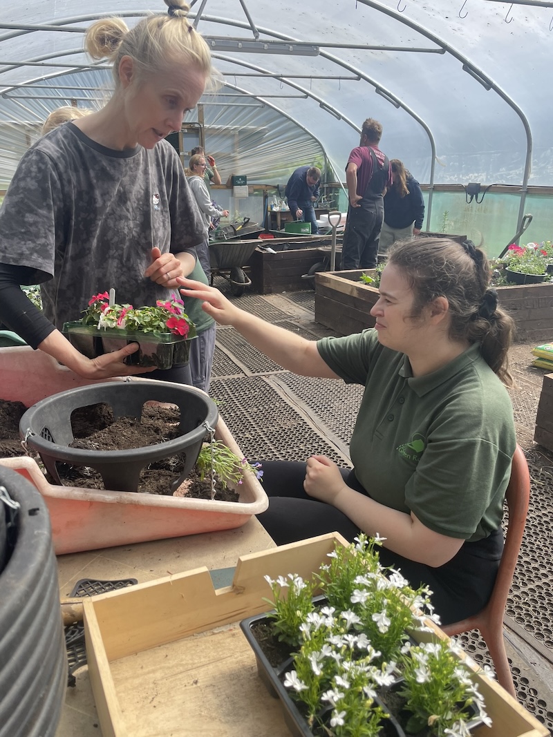 Bold project file for RapidWeaver