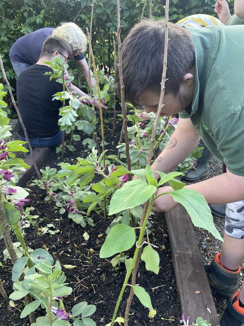 Raised bed work with students
